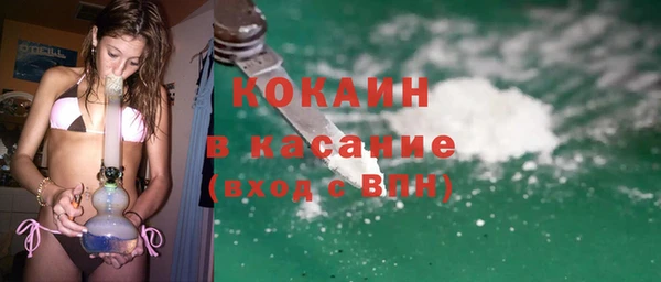 сатива Фёдоровский