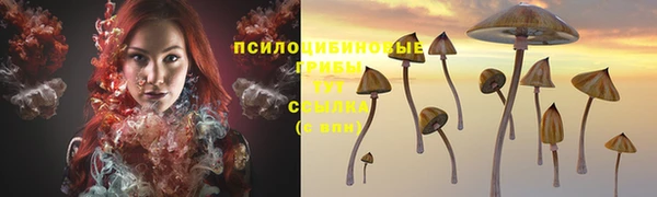 прущие крисы Калининец