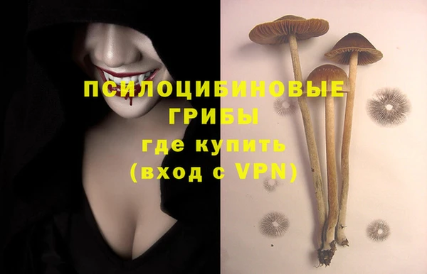 сатива Фёдоровский