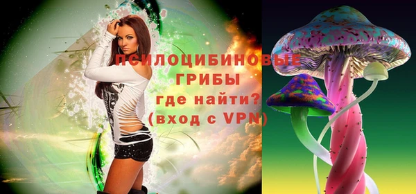 ешки Нестеровская