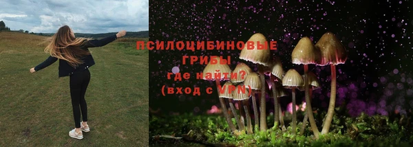 сатива Фёдоровский