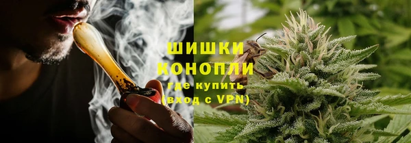 сатива Фёдоровский