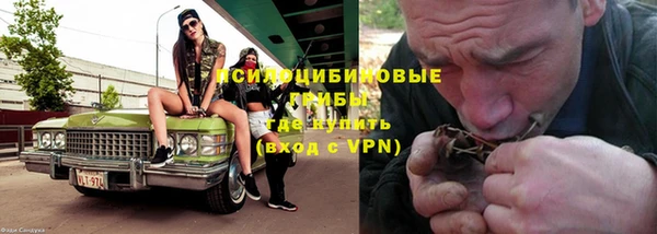 ешки Нестеровская