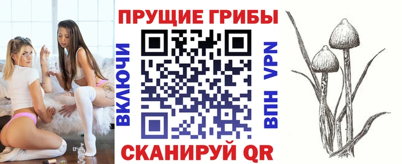 Псилоцибиновые грибы ЛСД  цены   мега ссылка  Керчь 