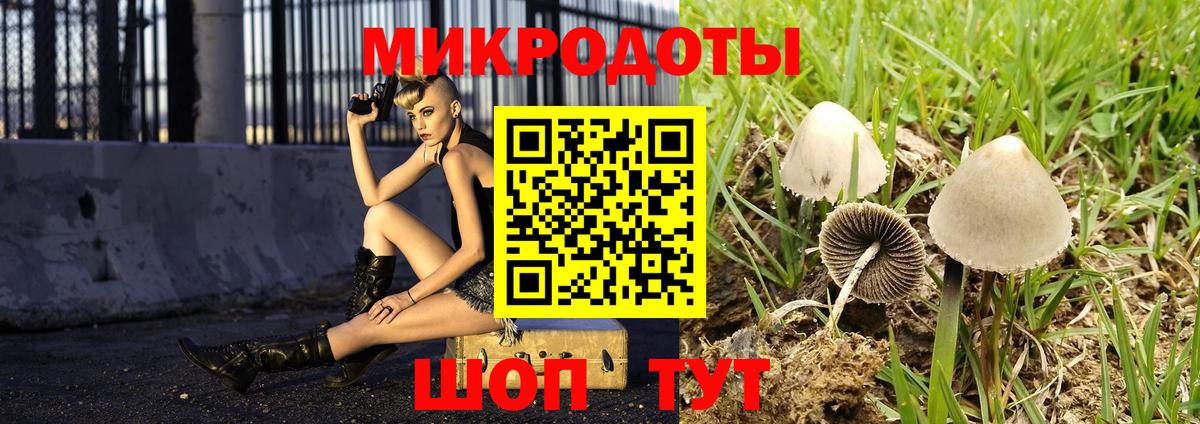 купить  сайты  Псилоцибиновые грибы мухоморы  Псилоцибиновые грибы мицелий  Вход с VPN  Керчь 